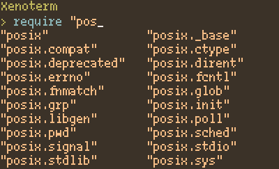 Using suggest-require within Xenoterm to autocomplete the Posix
module.